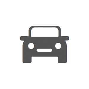 Passenger Vehicles